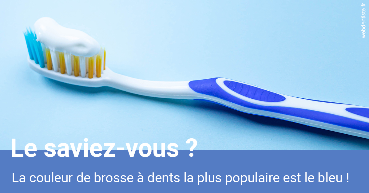 https://www.pedeboscq-pecastaing.fr/Couleur de brosse à dents