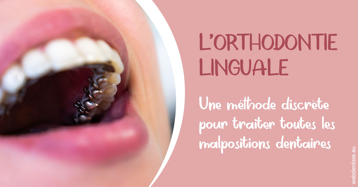 https://www.pedeboscq-pecastaing.fr/L'orthodontie linguale 2
