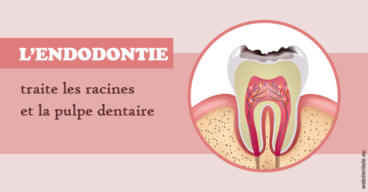 https://www.pedeboscq-pecastaing.fr/L'endodontie 2
