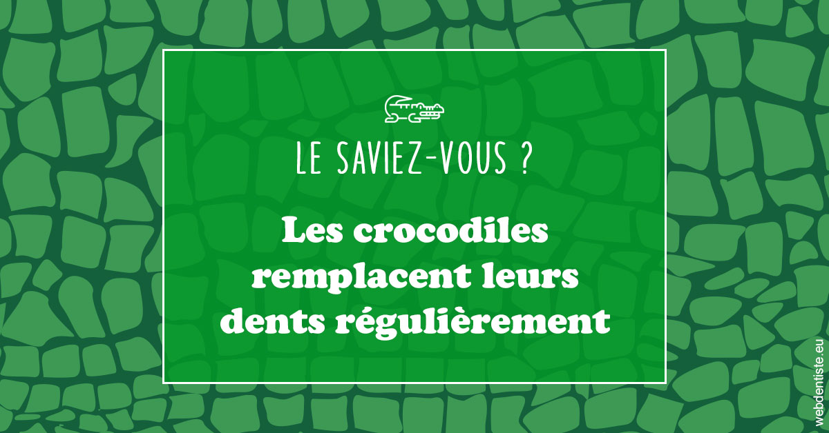 https://www.pedeboscq-pecastaing.fr/Crocodiles 1