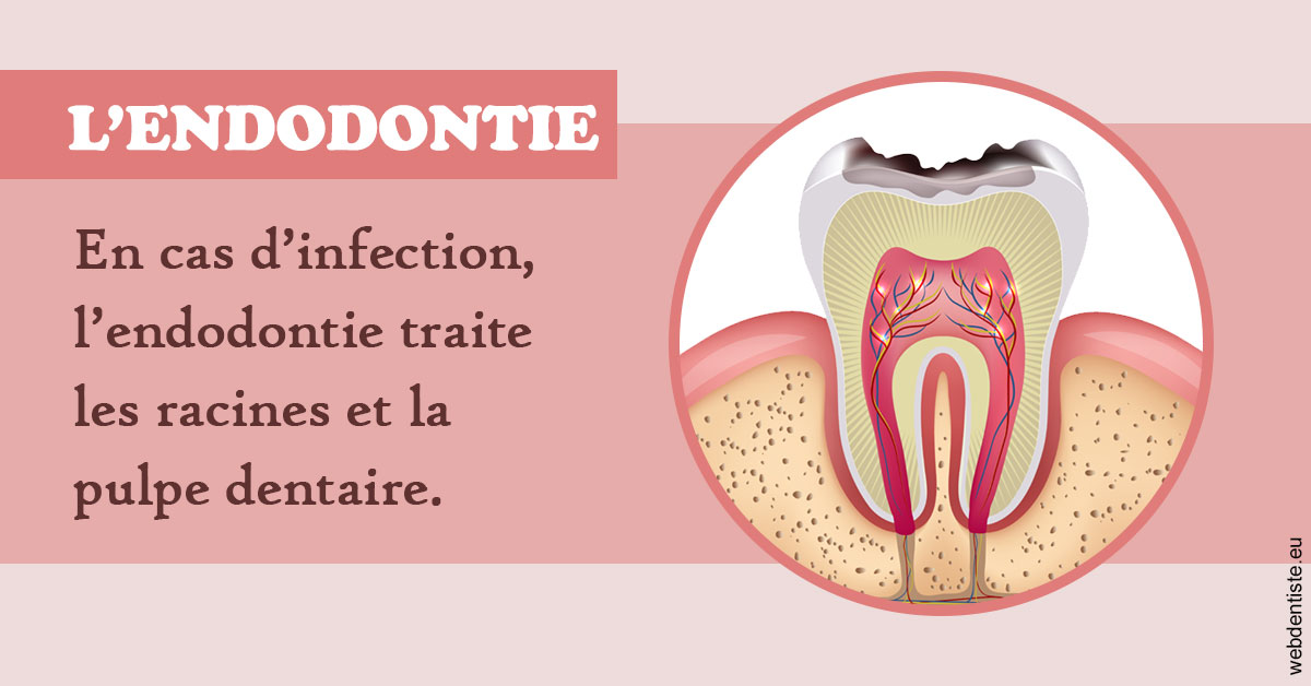 https://www.pedeboscq-pecastaing.fr/L'endodontie 2